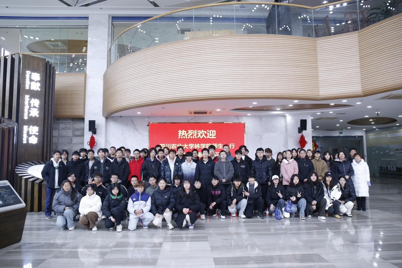 【木文化交流】木材交易中心助力高校學(xué)子探秘木材行業(yè)